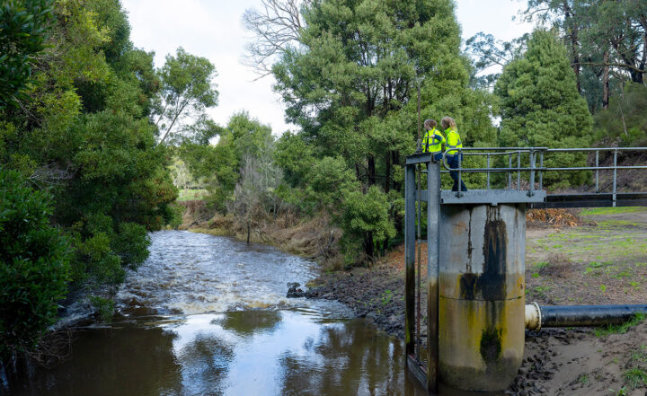 No water restrictions on the horizon for South West Victoria