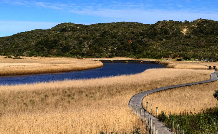 Statement on the Gellibrand River and the security of Warrnambool’s water supply