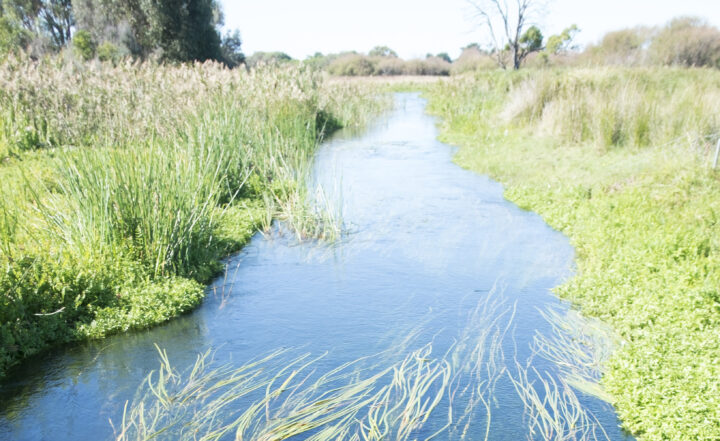 Photography competition highlights the value of water